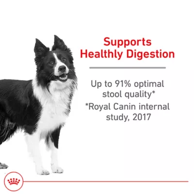Product Royal Canin® Canine Care Nutrition Digestive Care Medium Breed Adult Dog Dry Food