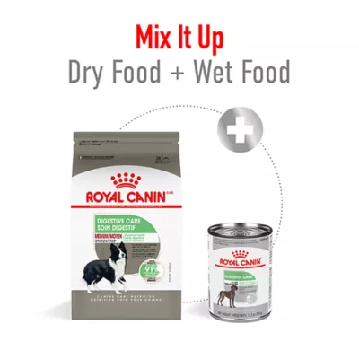 Product Royal Canin® Canine Care Nutrition Digestive Care Medium Breed Adult Dog Dry Food