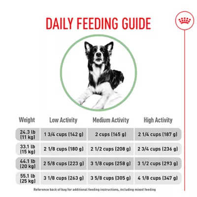 Product Royal Canin® Canine Care Nutrition Digestive Care Medium Breed Adult Dog Dry Food