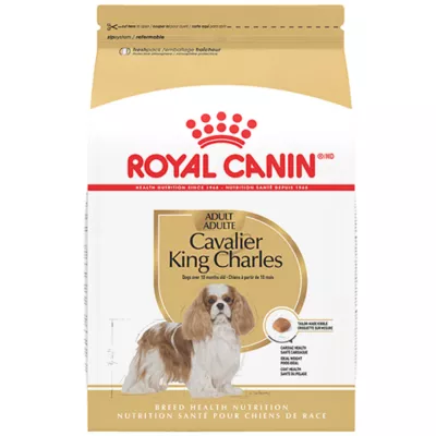 Product Royal Canin Breed Health Nutrition Cavalier King Charles Spaniel Adult Dry Dog Food