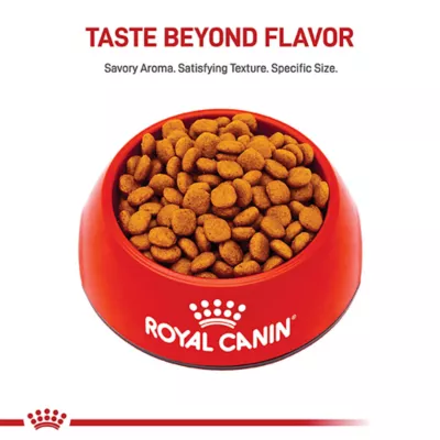 Product Royal Canin Breed Health Nutrition Cavalier King Charles Spaniel Adult Dry Dog Food