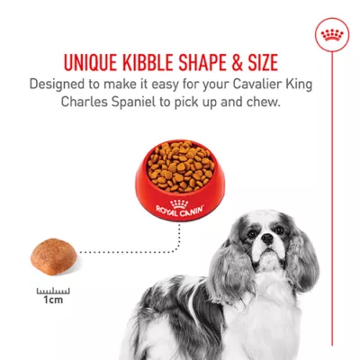 Product Royal Canin Breed Health Nutrition Cavalier King Charles Spaniel Adult Dry Dog Food