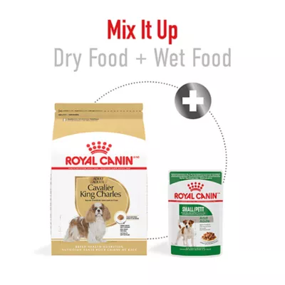 Product Royal Canin Breed Health Nutrition Cavalier King Charles Spaniel Adult Dry Dog Food