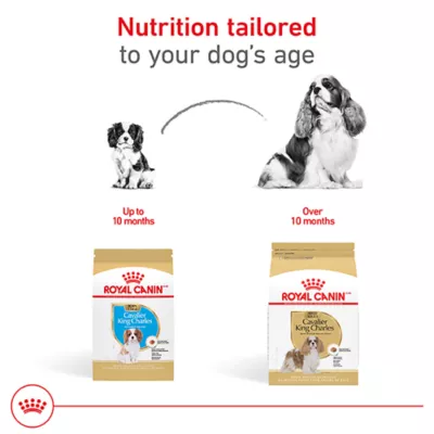 Product Royal Canin Breed Health Nutrition Cavalier King Charles Spaniel Adult Dry Dog Food
