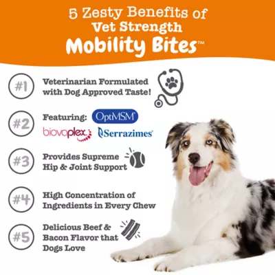 Product Zesty Paws Vet Strength Mobility Bites for Dogs - Beef & Bacon Flavor - 90 Ct