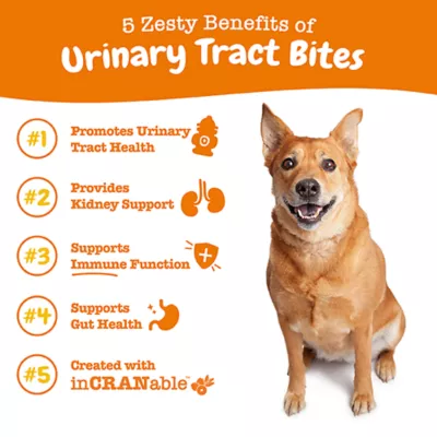 Product Zesty Paws Urinary Tract Bites, Chicken, 90 Count