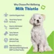 Product Pet Wellbeing Milk Thistle Large Canine Liquid Liver Dog Supplement