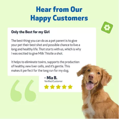 Product Pet Wellbeing Milk Thistle Large Canine Liquid Liver Dog Supplement