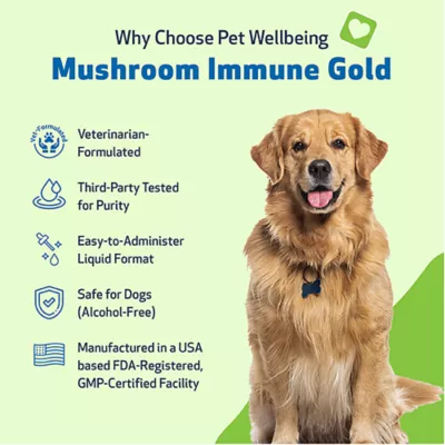 Product Pet Wellbeing Mushroom Immune GOLD Liquid Immune Dog & Cat Supplement