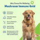 Product Pet Wellbeing Mushroom Immune GOLD Liquid Immune Dog & Cat Supplement