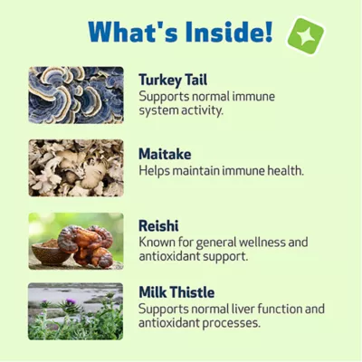 Product Pet Wellbeing Mushroom Immune GOLD Liquid Immune Dog & Cat Supplement