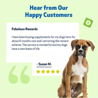 Product Pet Wellbeing Mushroom Immune GOLD Liquid Immune Dog & Cat Supplement