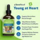 Product Pet Wellbeing Young at Heart Liquid Heart Dog Supplement