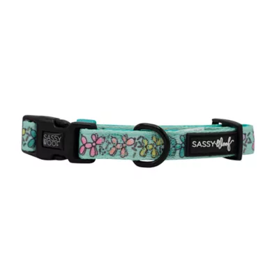 Product Sassy Woof Pup Pup Hooray Dog Collar