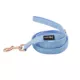 Product Sassy Woof Blumond Dog Leash: 5-ft long