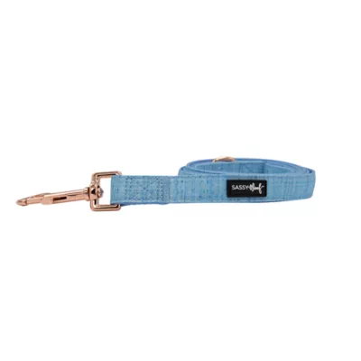 Product Sassy Woof Blumond Dog Leash: 5-ft long