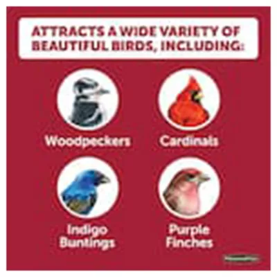 Product Pennington® Select Black Oil Sunflower Bird Seed