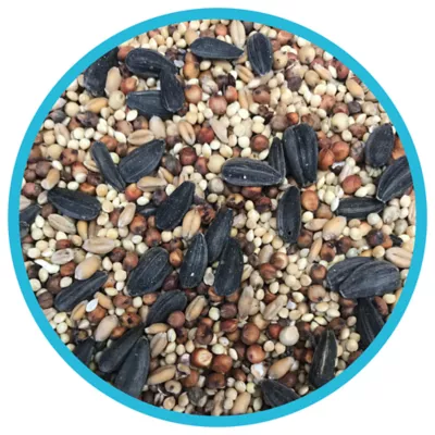 Product Pennington® Classic Wild Bird Seed