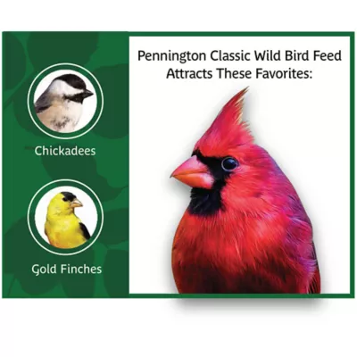 Product Pennington® Classic Wild Bird Seed