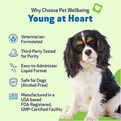 Product Pet Wellbeing Young at Heart Liquid Heart Dog Supplement