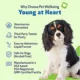 Product Pet Wellbeing Young at Heart Liquid Heart Dog Supplement