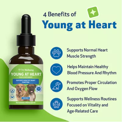 Product Pet Wellbeing Young at Heart Liquid Heart Dog Supplement