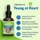 Product Pet Wellbeing Young at Heart Liquid Heart Dog Supplement