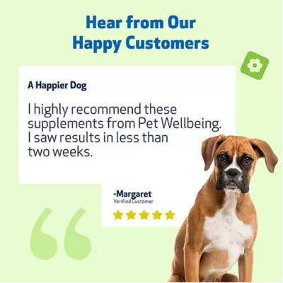 Product Pet Wellbeing Young at Heart Liquid Heart Dog Supplement