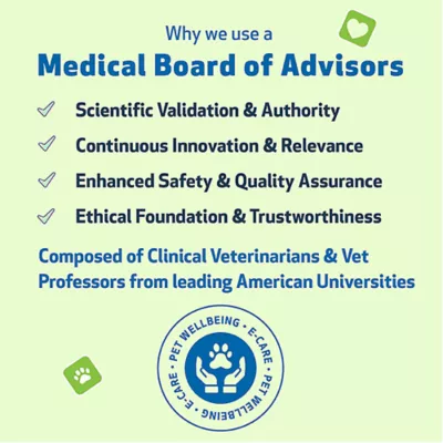 Product Pet Wellbeing Milk Thistle Liquid Liver Dog & Cat Supplement