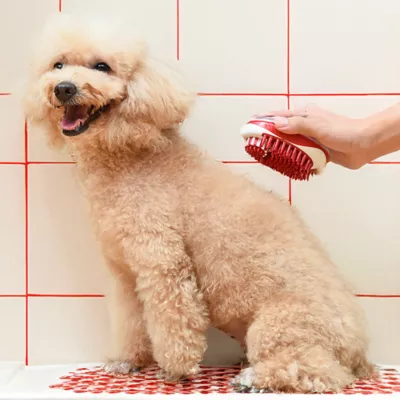 Product CHI® Soap Dispensing Palm Brush for Dogs