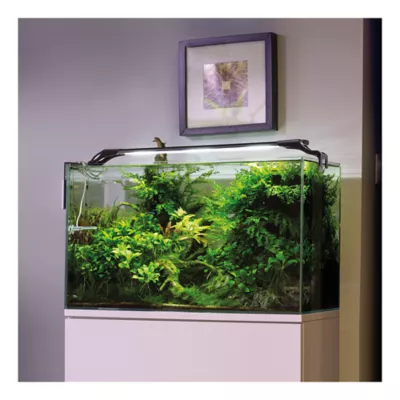Product Leddy Slim Sunny Lamp 10W