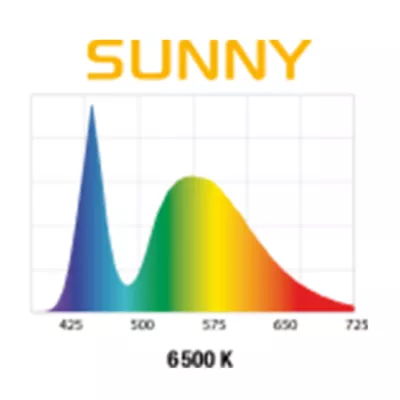Product Leddy Slim Sunny Lamp 10W