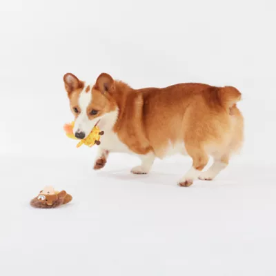 Product Joyhound® Crazy Comfy Plush Giraffe & Lion Dog Toy - 2 Pack, Squeaker