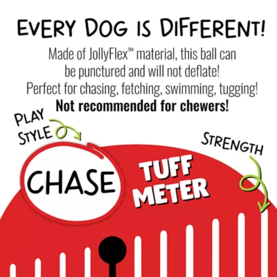 Product Jolly Pet Tug-n-Toss Dog Toy