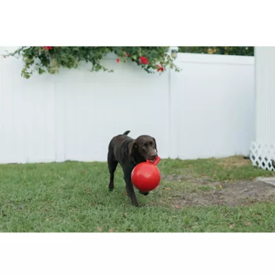 Product Jolly Pet Tug-n-Toss Dog Toy