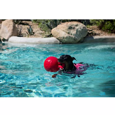Product Jolly Pet Tug-n-Toss Dog Toy