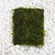Product Top Fin® Live Java Moss Pad