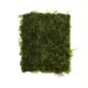 Product Top Fin® Live Java Moss Pad