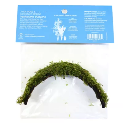 Product Top Fin® Shrimp Moss & Coconut Bridge Live Aquatic Plant