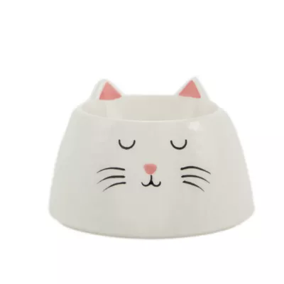 Product Whisker City® Ceramic Elevated Kitty Saucer, 0.5-cup