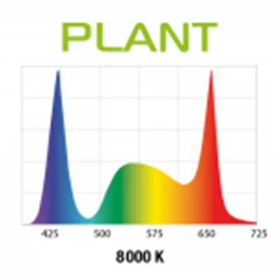 Product Leddy Slim Plant Lamp 36W - 40-48"