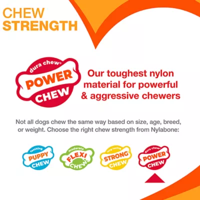 Product Nylabone® Power Chew Basted Blast Dog Toy - 2 Pack, Bacon & Steak Flavor