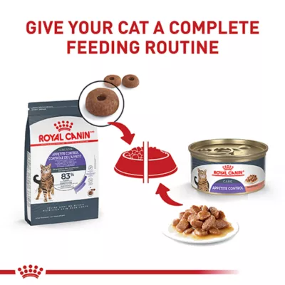 Product Royal Canin Feline Adult Dry Cat Food Care Nutrition, Appetite Control Care