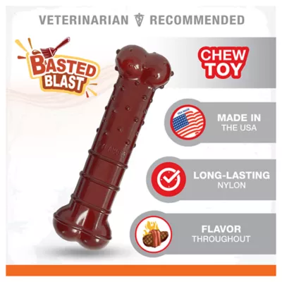 Product Nylabone® Power Chew Basted Blast Dog Toy - Bacon & Steak Flavor