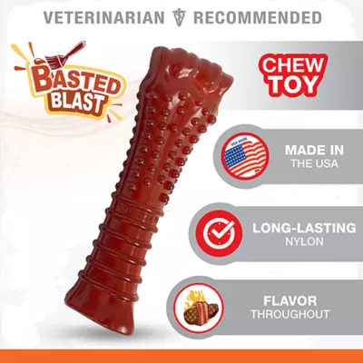Product Nylabone® Power Chew Basted Blast Dog Toy - Bacon & Steak Flavor