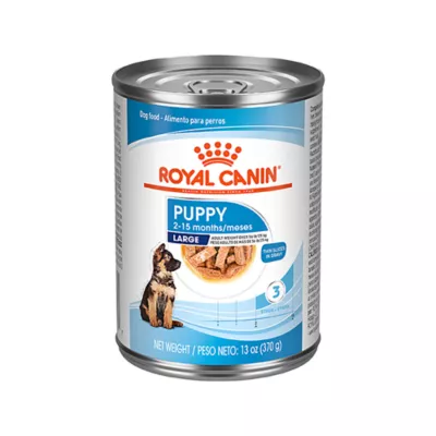 Product Royal Canin Size Health Nutrition Large Breed Puppy Dog Wet Food - 13 oz