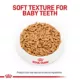 Product Royal Canin Size Health Nutrition Large Breed Puppy Dog Wet Food - 13 oz