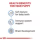 Product Royal Canin Size Health Nutrition Large Breed Puppy Dog Wet Food - 13 oz
