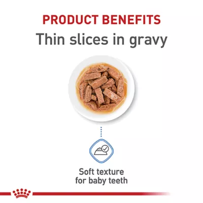 Product Royal Canin Size Health Nutrition Large Breed Puppy Dog Wet Food - 13 oz