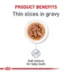 Product Royal Canin Size Health Nutrition Large Breed Puppy Dog Wet Food - 13 oz
